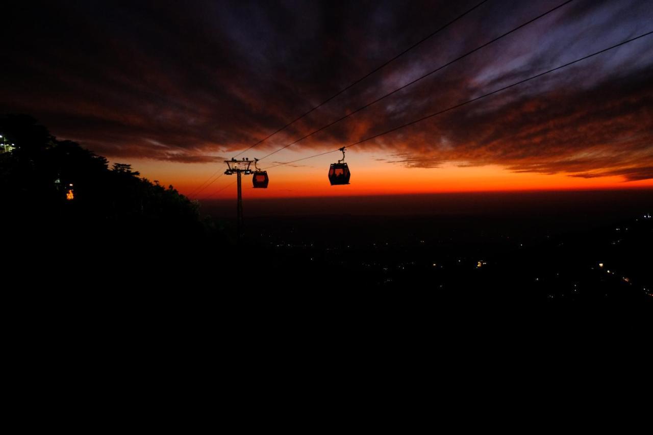 Хостел Mitra Mcleodganj Мак-Леод-Гейндж Экстерьер фото
