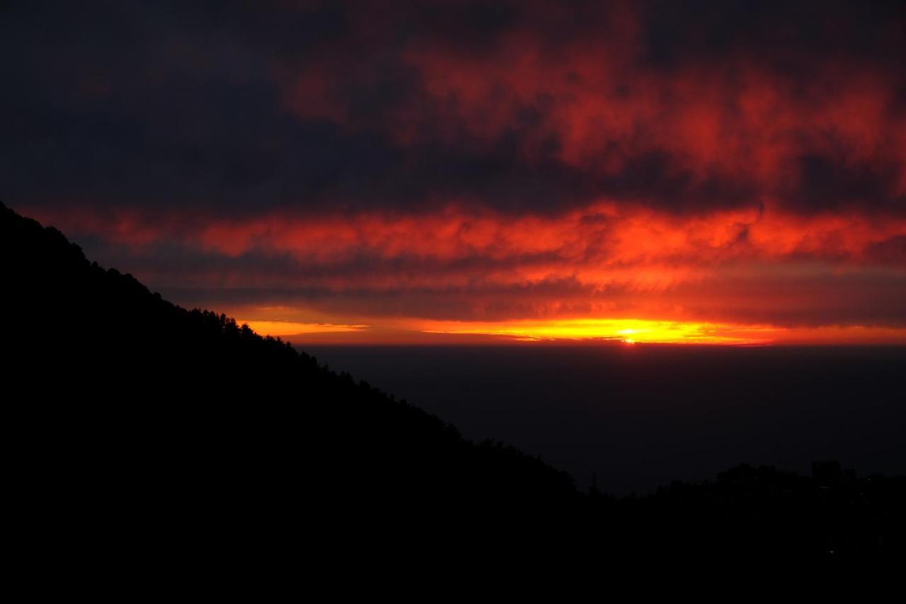Хостел Mitra Mcleodganj Мак-Леод-Гейндж Экстерьер фото