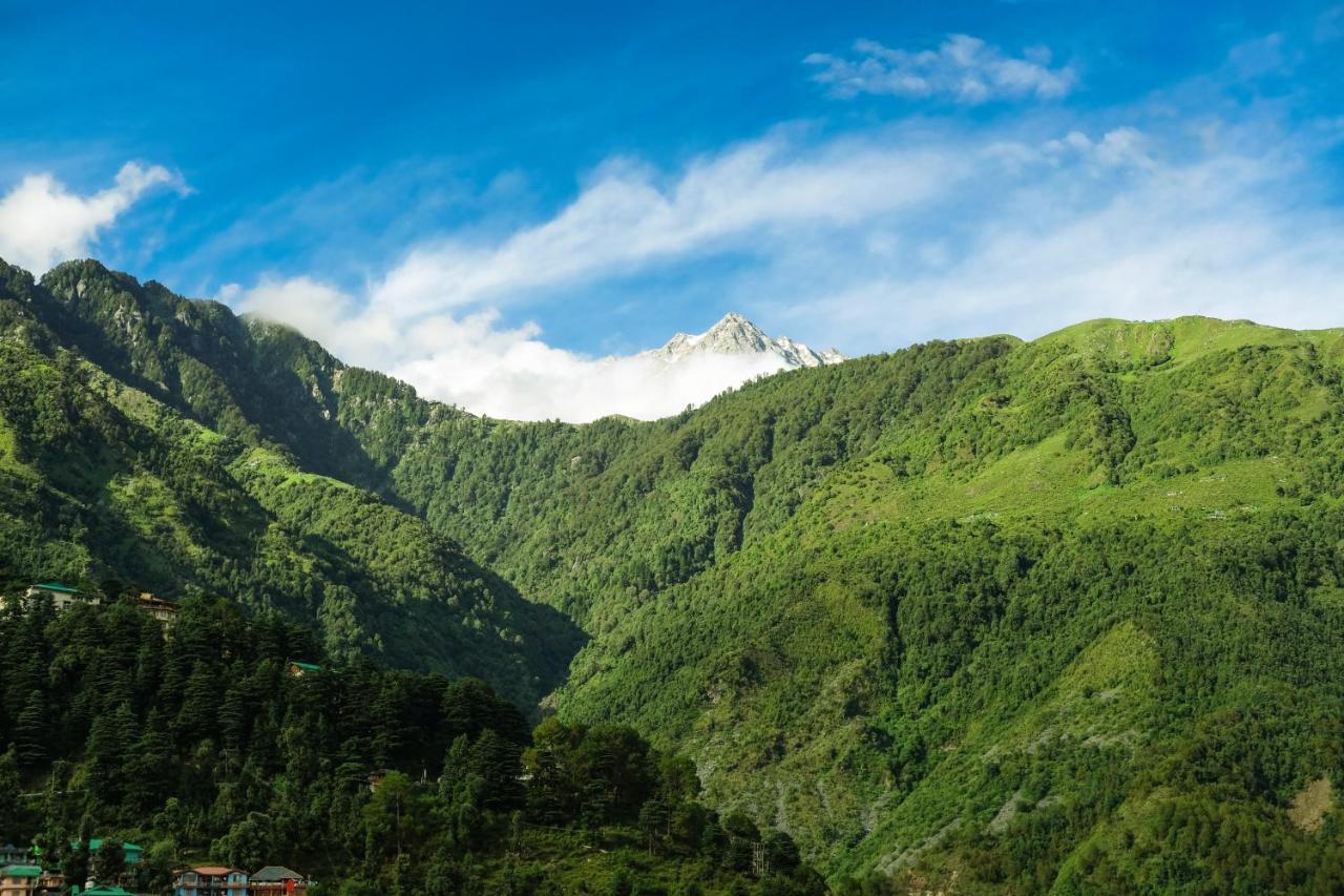 Хостел Mitra Mcleodganj Мак-Леод-Гейндж Экстерьер фото